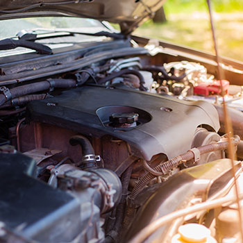 Diesel Maintenance